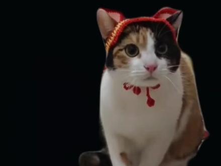 开门小猫,这次你是选纸巾还是米老鼠呢?😜🤫🤫#创作灵感 #创作者扶持计划 #三花 #察言观色的猫咪 #双生抉择曲@超级无敌大开门 @抖音创作灵感 @抖音上热门