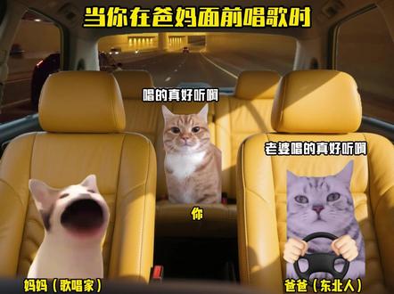 当你在爸妈面前唱歌时 #猫meme #音乐 #精卫