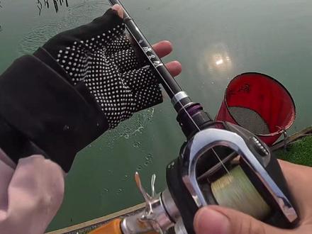 盘点2025年常用的钓组和饵 #钓鱼经验分享 #创作者中心 #创作灵感 #驯鱼高手 #黑坑常用的饵