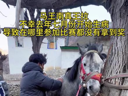 @医者仁心•索扎西
感谢索医生大哥精心治疗