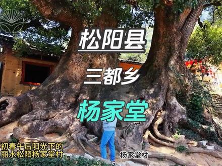 浙江松阳县经典古村·杨家堂 杨家堂村位于浙江松阳县三都乡的群山之中,是一座始建于清顺治十二年,有三百六十多年历史的古村落,被称为 “江南金色布达拉宫”,是松阳古村群的精华代表,也是《孤独星球》推荐的中国最美乡村之一。#原创视频