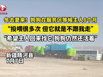 狗狗在服务区坚持等候主人8个月。“投喂很多次 但是它不跟我走”。希望它的主人尽快回来找它。#忠犬 视频来源@护航轮胎