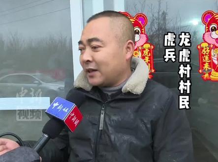 众所周知!老虎也称为“大猫”!