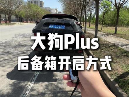 咱们26款大狗 plus 的后备箱开启方式到底有几种,以及一些隐藏的小功能,兄弟们都知道吗?今天一条视频,就带兄弟们看一看!!!#哈弗大狗 #哈弗大狗plus #用车知识