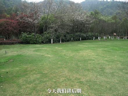 PS 调色思路 想修图但没思路的小伙伴们,今天给你们带来一招万能调色法。#ps调色教程 #ps后期 #调色思路 #摄影