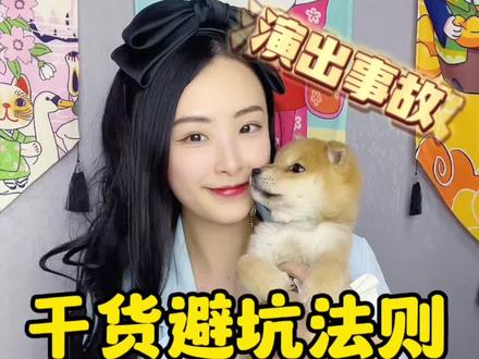 干货·纯种柴犬的鉴别方法!#宠物知识 #柴犬 #成都柴犬 #柴犬宝宝 #柴犬幼犬