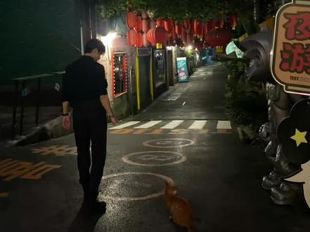 今日立冬 第一条祝福想送给你 许愿:希望你平平安安 永远幸福快乐 永远没有烦恼 #今日立冬 #那说好了季节轮变我们不变 #氛围感