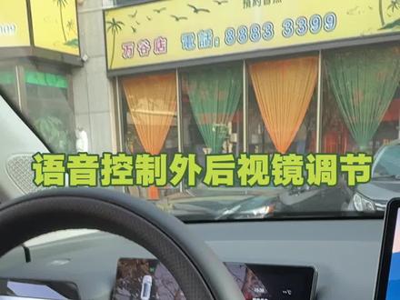 埃安i60的外后视镜调节 可以用语音唤醒 #埃安i60 #用车日常#户外#外后视镜调节