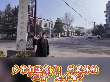 注意啦!别让集体资产“睡大觉”!村书记硬核科普“三资”知识,视频手把手教你查询,摸清家底、盘活资源,乡亲们,行动起来!一起监督,一起收益!#农村集体“三资 #王义贞镇