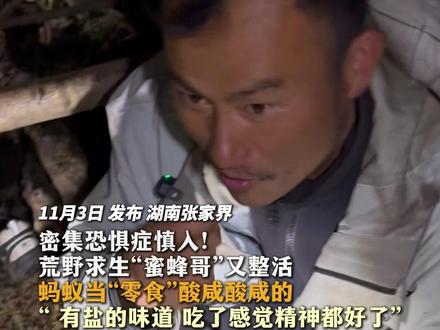 密集恐惧症慎入!荒野求生“蜜蜂哥”又整活蚂蚁当“零食”酸咸酸咸的“ 有盐的味道 吃了感觉精神都好了”#张家界 #荒野求生 #蜜蜂哥