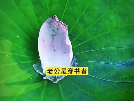 他回来后,看到的是死去的爱人-5