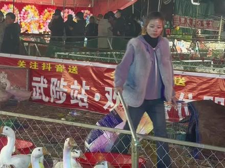 一年一度的武陟10.20城隍庙大庙会又开始了#套大鹅 #人间烟火 @天慈来了 @虎哥别闹【圈王】 #嗨玩焦作