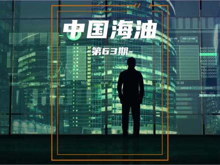 第63期:中国海油
#快刀斩股 #价值投资 #财报分析 #油价
