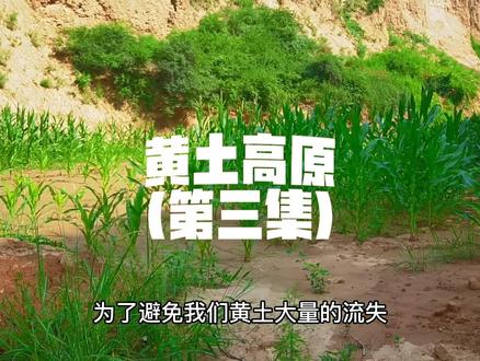 黄土高原第三集
水土流失治理措施
#水土流失 #打坝淤地 #地理