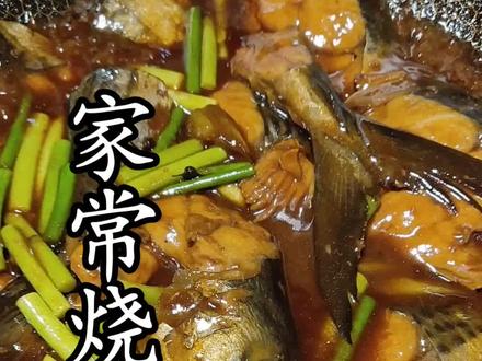 一道胶东地区的家常烧鲅鱼 #抖音美食 #抖音美食制作人