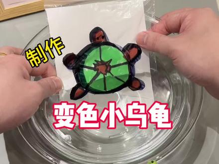 制作变色小乌龟