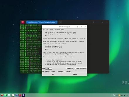统信上vnc服务端设置