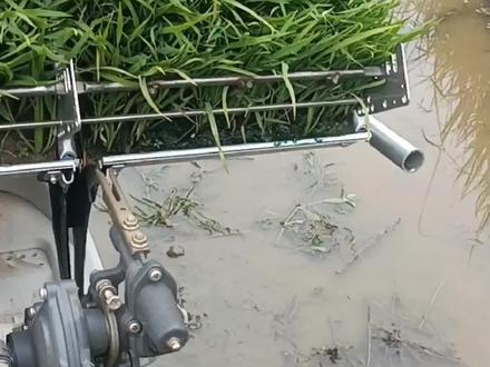 秧苗育的不好,不要愁,用对机器没烦恼!!!林海插秧机,央企制造,国产金品,值得购买!