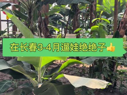 3-4月在长春来这儿遛娃真挺香👍,用爸爸的话说即户外又自然比去游乐场强多了,建议给娃带自行车会快乐加倍的😸#长春 #长春周末去哪玩 #长春遛娃圣地 #占林爷爷的农场