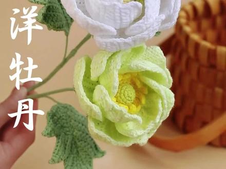 阿富汗针法蝴蝶洋牡丹之大花瓣以及花心部分钩织教程#钩针编织