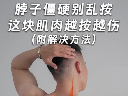 肩胛提肌越按越废 #运动康复 #改善肩颈 #肩胛提肌 #脖子僵硬