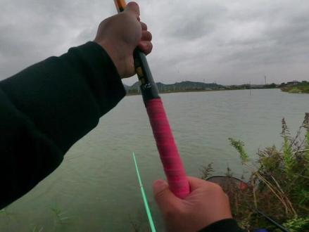 钓鱼人的高光时刻:野钓鲤鱼双飞…如果说大鲫大鲤是同花顺,鲤鱼成双就是皇家同花顺😀😀