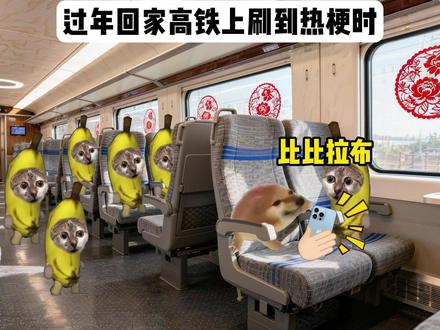 过年回家高铁上刷到热梗时 #猫meme #搞笑 #我的刀盾 #比比拉布