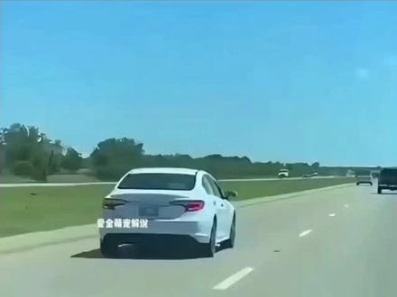 天呐😡现在的人怎么都这样这么好的狗不想养了可以送人👊