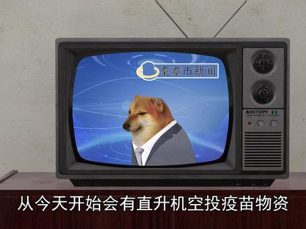 丧尸瘟疫逃离城市:完结 #cheems #丧尸 #末日求生