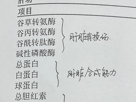 肝病报告看哪些指标