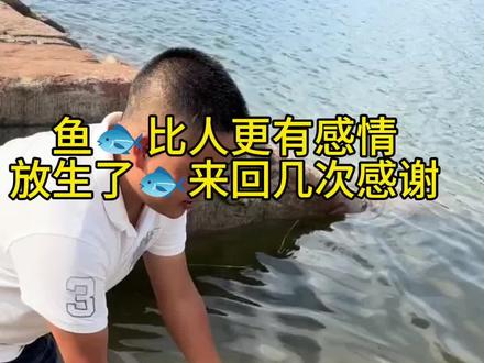 #放生 #鱼🐟比人更重感情,放生了几次都不走还回来感谢主人#见者好运 #祝大家年年有鱼 #见者好运连连 @DOU+小助手