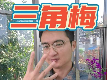 三角梅浇水全攻略! #养花 #三角梅 #浇水