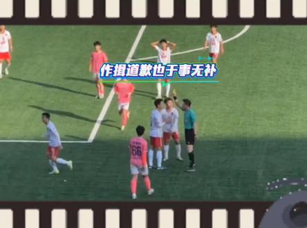 心疼衡阳队,吃一堑长一智吧。 #湘超 #常德vs衡阳 #争议判罚 #肖恩 #黄牌