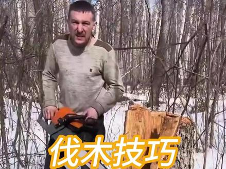 高手在民间!看牛人如何用电锯玩转伐木技巧! #伐木