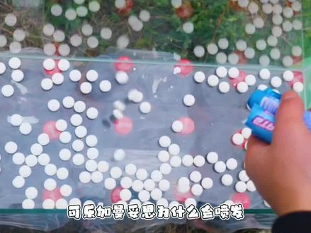 为什么当可乐遇上曼妥思会爆炸?#科普 #dou出新知 #可乐