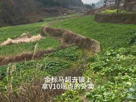 金标马超去镇上拿富婆瑶点的外卖vlog #马超 #瑶 #抖音acg新春会