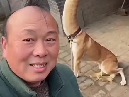 长脖子杂交狗?#农村趣事 #动物趣事 #农村生活欢乐多