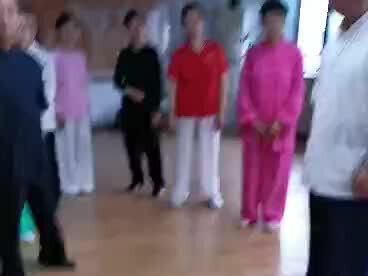 赵幼斌老师讲85式第一段基本要领