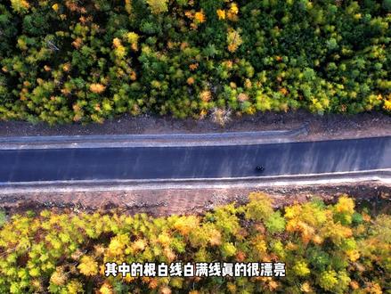 秋天的大兴安岭究竟该怎么玩?#大兴安岭 #大兴安岭秋季风景图 #漠河 #内蒙古 #呼伦贝尔旅游攻略