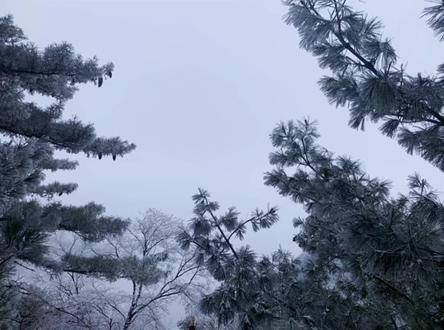 #孤独症demo #刘聪 #说唱 听了无数遍的歌最近火了