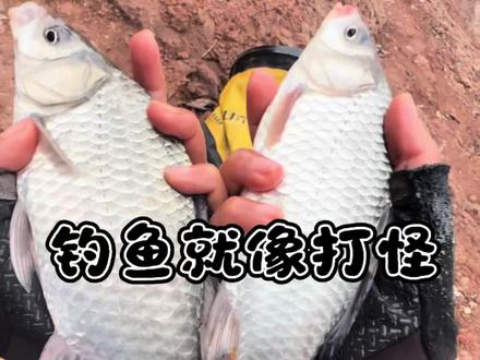 钓鱼就像打怪,打了那么久,今天终于爆装备了! #那些奇奇怪怪的钓鱼方式 #钓鱼那些事 #富源百川317 #蓝鲫青春版六蟲腥香