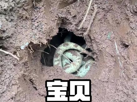 盘点挖到的十几种宝贝,看看到底能值多少钱?#寻宝 #一般人不知道是什么 #奇石 #科普