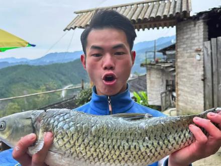 这样做的红烧鲤鱼,鲜嫩入味,非常好吃下饭#多彩贵州真得劲#劲在苗乡侗寨#年轻人的养生搭子#农村美食#我的乡村生活