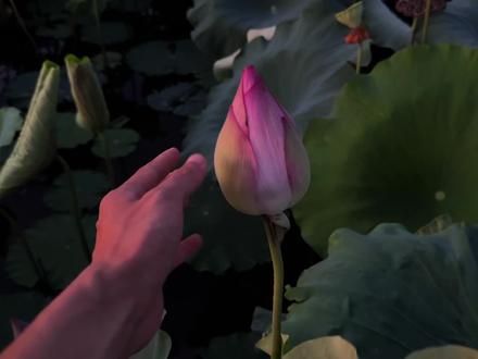 今日话题 梦里出现的到底是谁在想谁#情感 #情感共鸣 #治愈系风景