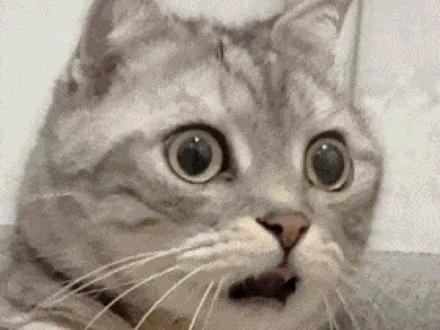 原来是短剧啊 我还以为是真的呢 #一念之间 #零容忍 #家暴