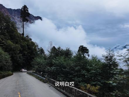 《坠入墨脱》——给你一个完完整整的墨脱 墨脱不通飞机、不通火车、公路也是全国最后一个通的。世界只有一个墨脱,而墨脱拥有整个世界,这句话的含义你知道么?看完这一集你会从对墨脱的一无所知变成专家。#墨脱拥有整个世界 #此生必驾318 #秘境墨脱 #西藏旅行攻略 @林芝文旅