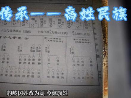 高氏家族❤️#高氏 #高氏家族 #高姓