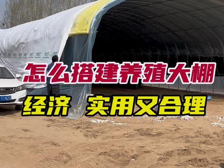 新式养殖大棚怎么搭建经济实用又合理#养殖大棚#专业建棚#大棚膜黑白膜