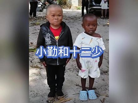 范小勤和十二少哪个权威 #范小勤 #十二少 #非洲十二少