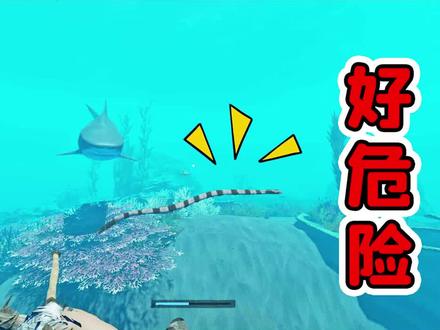 下海挖黏土,被虎鲨和海蛇驱赶,真是富贵险中求啊#游戏中的扎心一幕 @游小浪Game